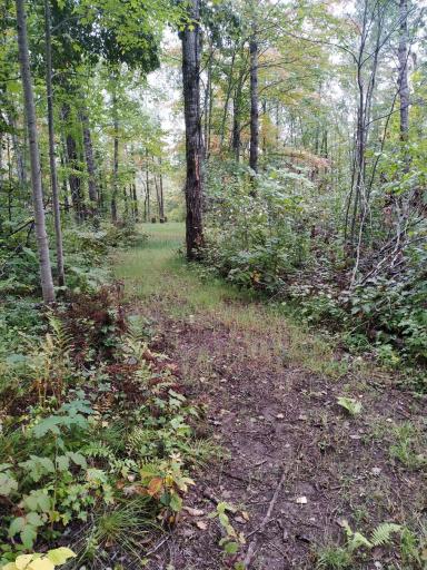56723 Duncan Road, Sandstone, MN 55072