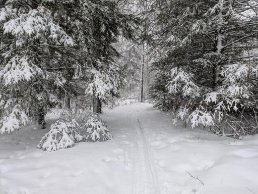 56723 Duncan Road, Sandstone, MN 55072