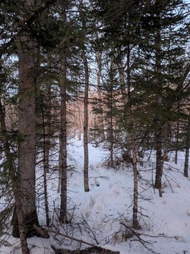 56723 Duncan Road, Sandstone, MN 55072
