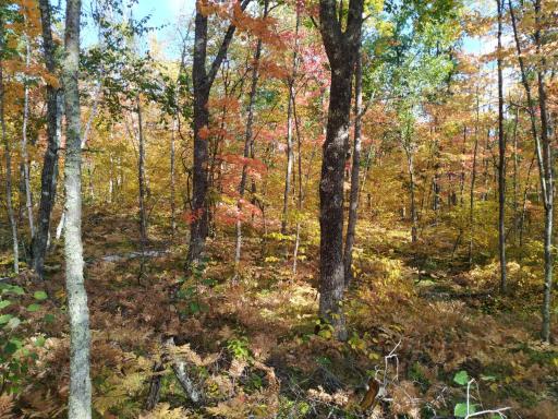 56723 Duncan Road, Sandstone, MN 55072