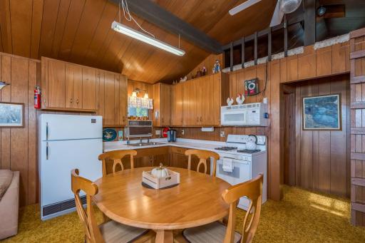 25076 Swedes Bay Lane, Elysian, MN 56028