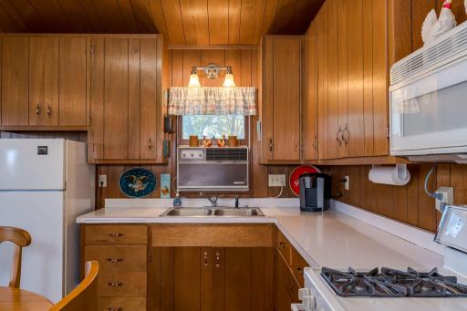 25076 Swedes Bay Lane, Elysian, MN 56028