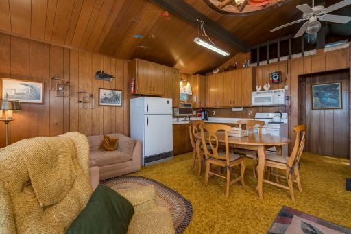 25076 Swedes Bay Lane, Elysian, MN 56028