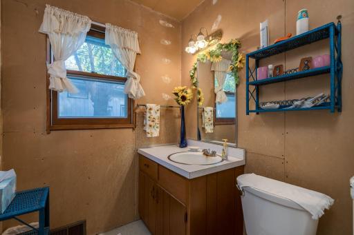 25076 Swedes Bay Lane, Elysian, MN 56028