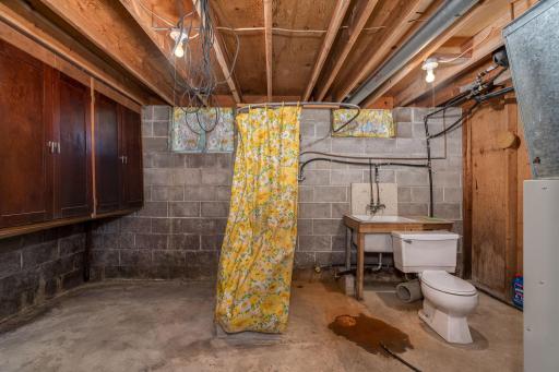 25076 Swedes Bay Lane, Elysian, MN 56028