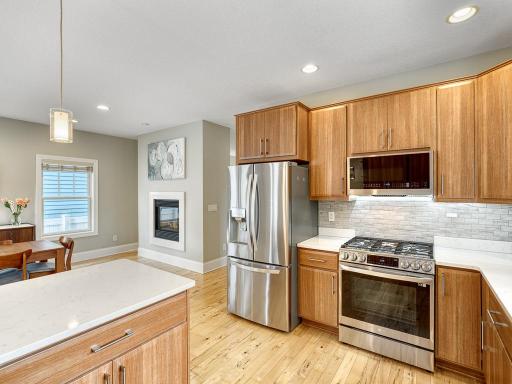 1173 Saint Paul Avenue, Saint Paul, MN 55116