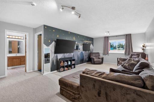 3738 131st Lane NW, Coon Rapids, MN 55448