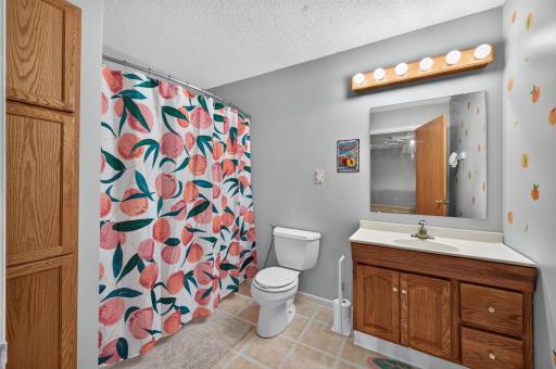3738 131st Lane NW, Coon Rapids, MN 55448