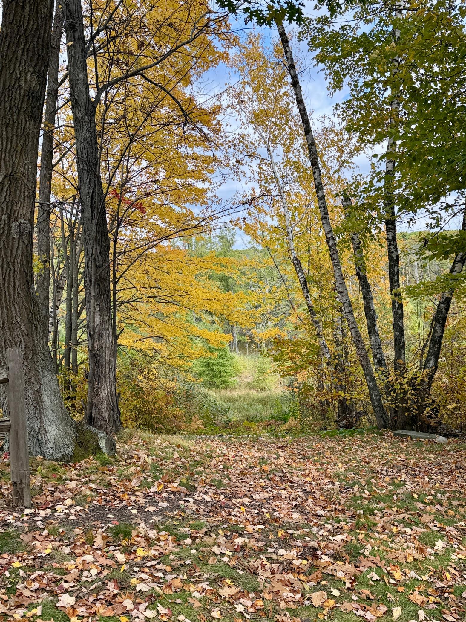 Walking path