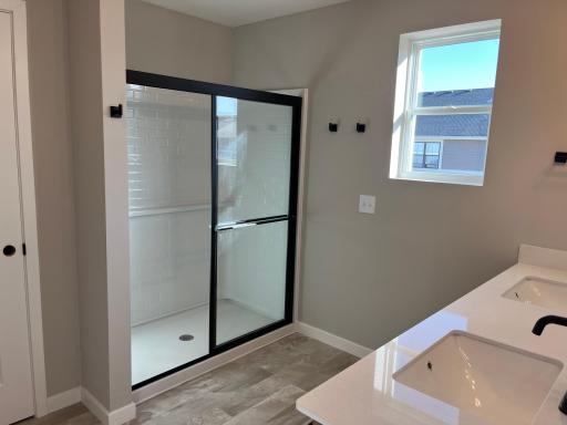 Primary shower with natural light