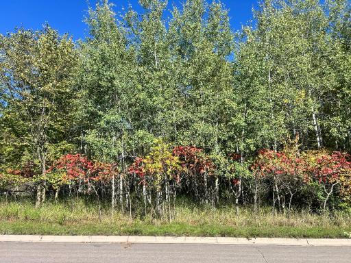 700 3rd Avenue NW, Little Falls, MN 56345