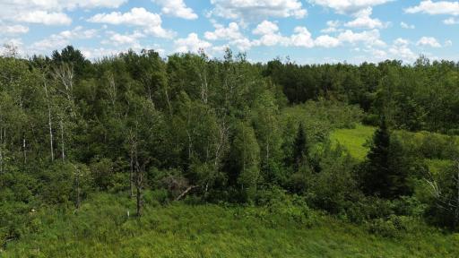 W11199 Edgewood Rd W, Bruce, WI 54848