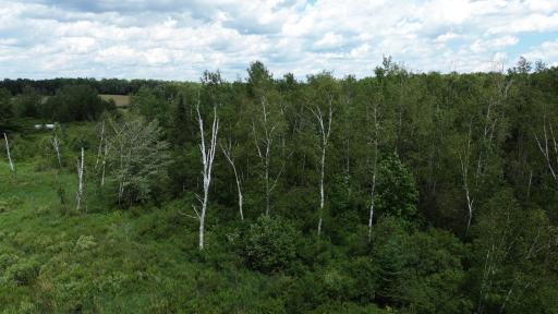 W11199 Edgewood Rd W, Bruce, WI 54848