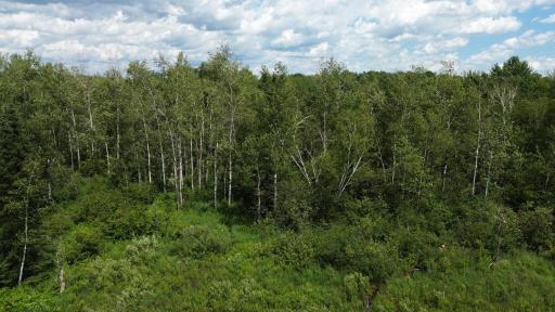 W11199 Edgewood Rd W, Bruce, WI 54848
