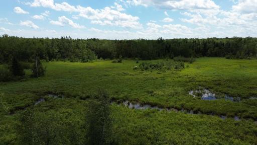 W11199 Edgewood Rd W, Bruce, WI 54848
