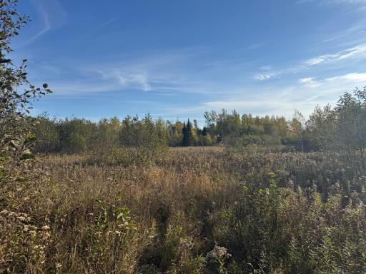 W11199 Edgewood Rd W, Bruce, WI 54848