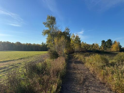W11199 Edgewood Rd W, Bruce, WI 54848