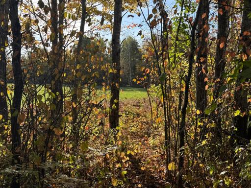 W11199 Edgewood Rd W, Bruce, WI 54848