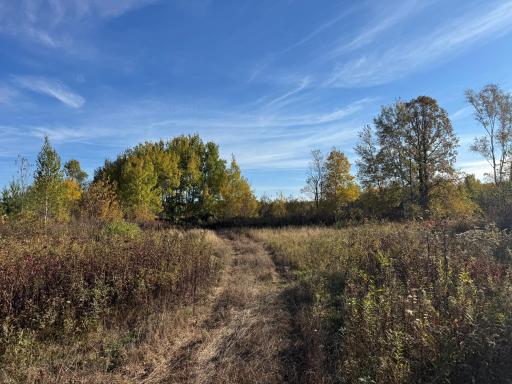 W11199 Edgewood Rd W, Bruce, WI 54848