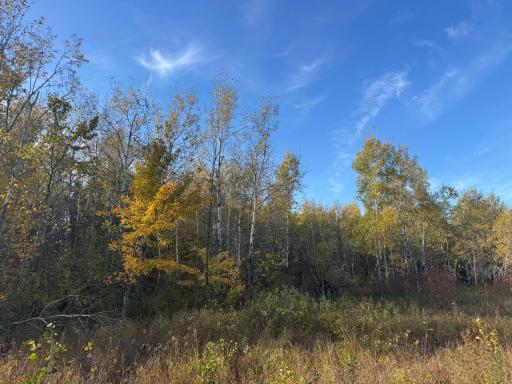 W11199 Edgewood Rd W, Bruce, WI 54848