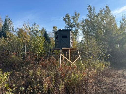 W11199 Edgewood Rd W, Bruce, WI 54848