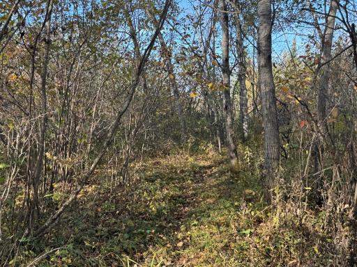 W11199 Edgewood Rd W, Bruce, WI 54848