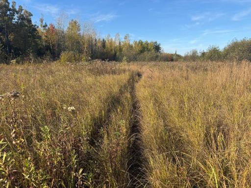 W11199 Edgewood Rd W, Bruce, WI 54848