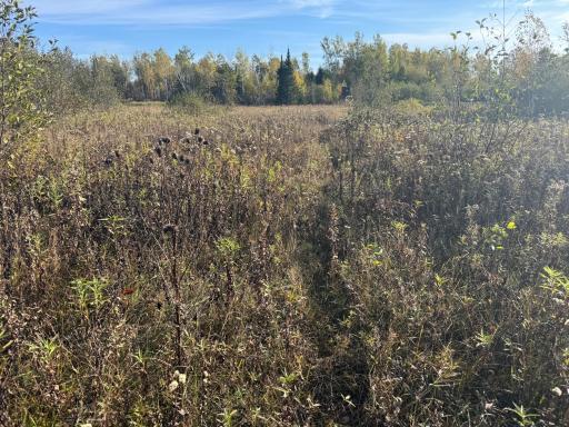 W11199 Edgewood Rd W, Bruce, WI 54848