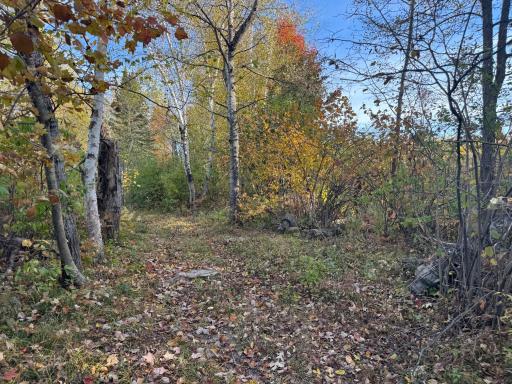 W11199 Edgewood Rd W, Bruce, WI 54848
