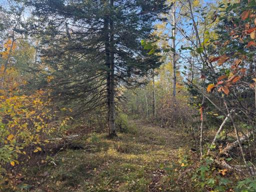 W11199 Edgewood Rd W, Bruce, WI 54848