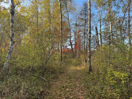 W11199 Edgewood Rd W, Bruce, WI 54848