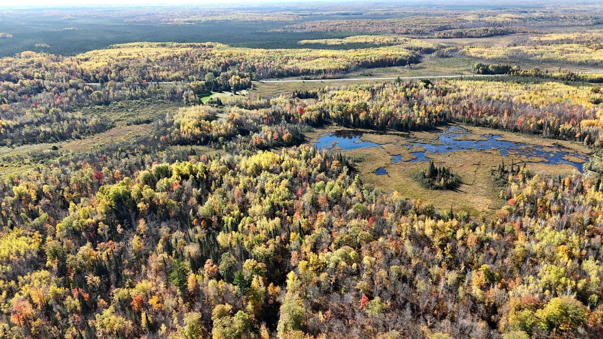 DJI_20261006104056_0261_D.JPG