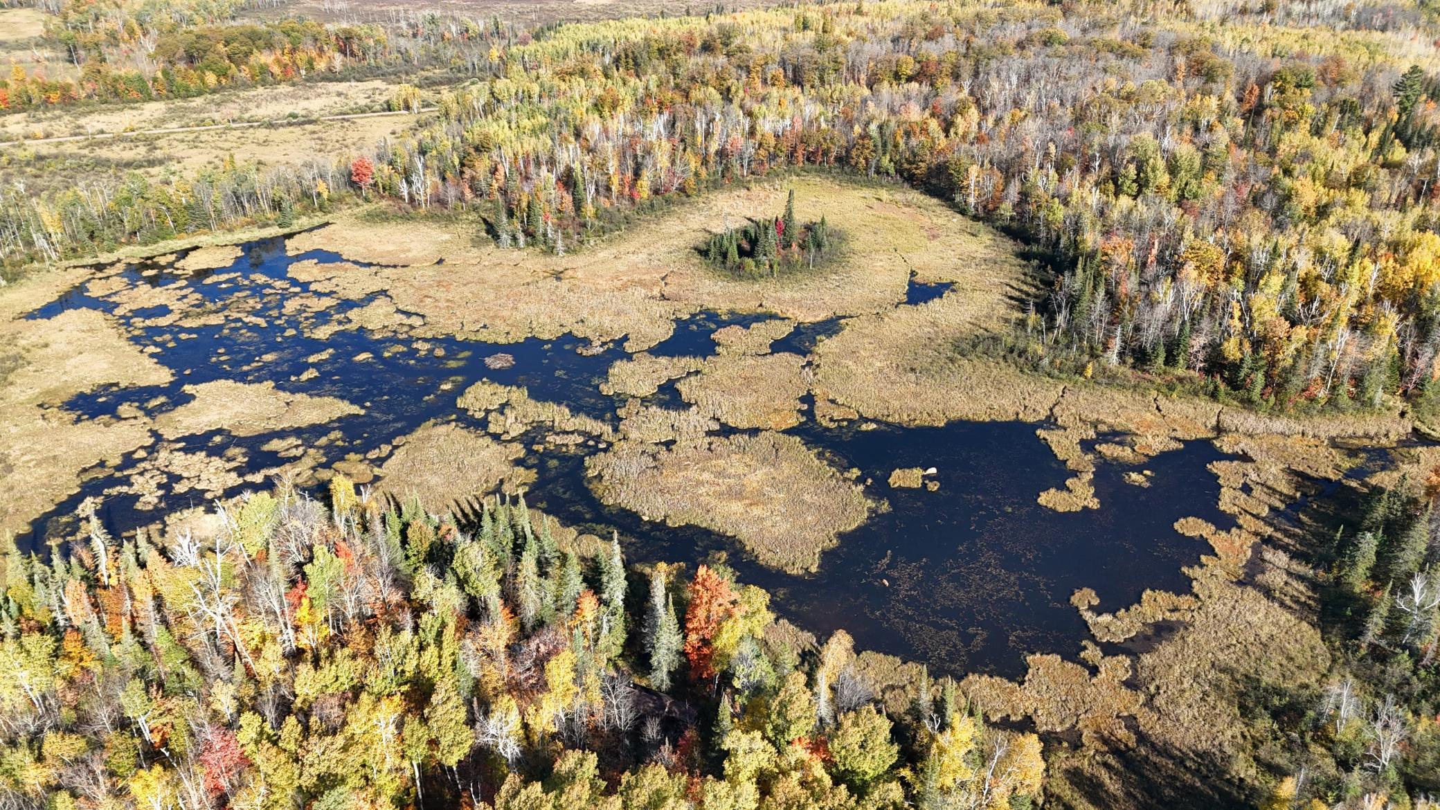 DJI_20261006103524_0254_D.JPG