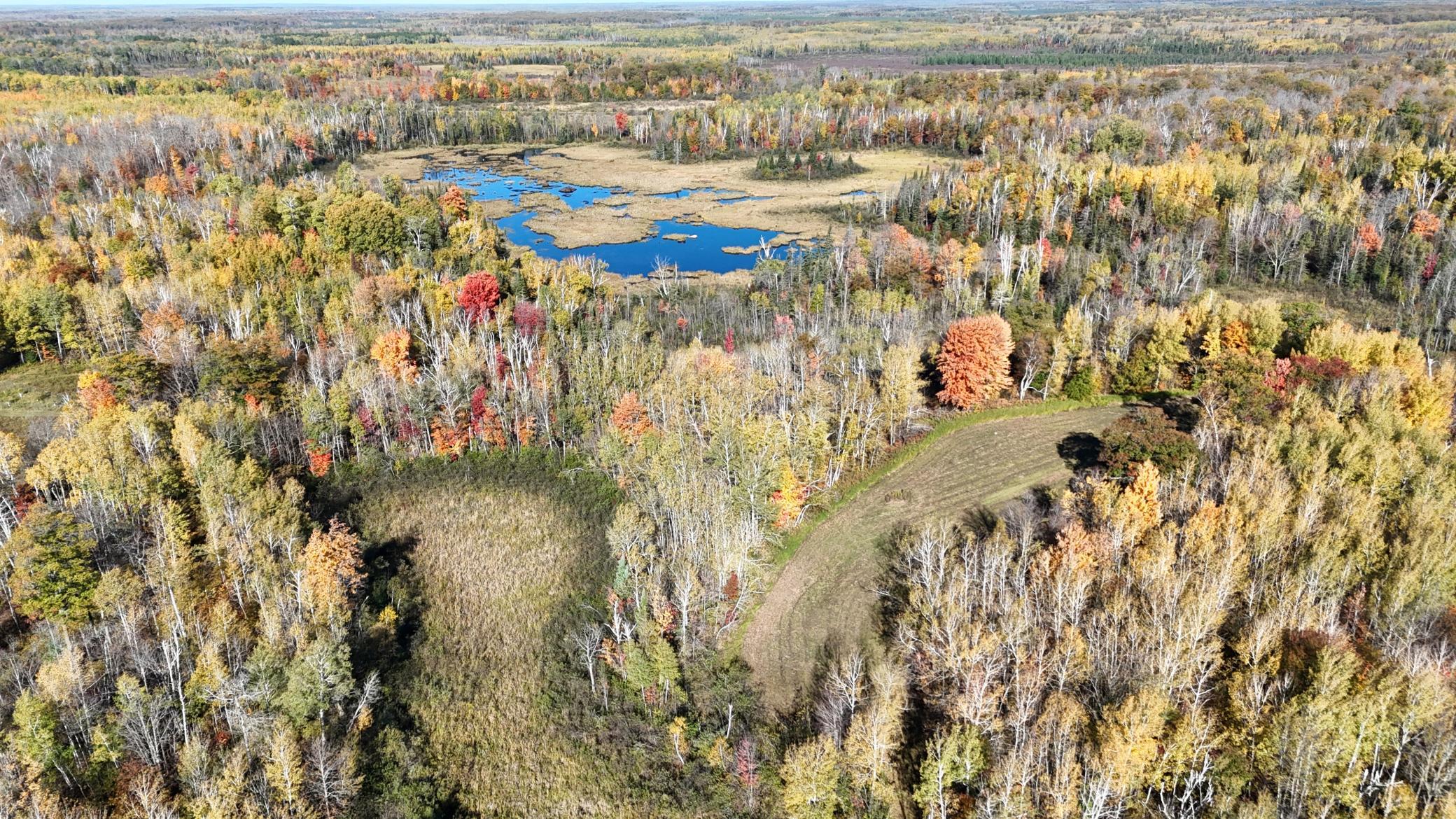DJI_20261006103400_0251_D.JPG