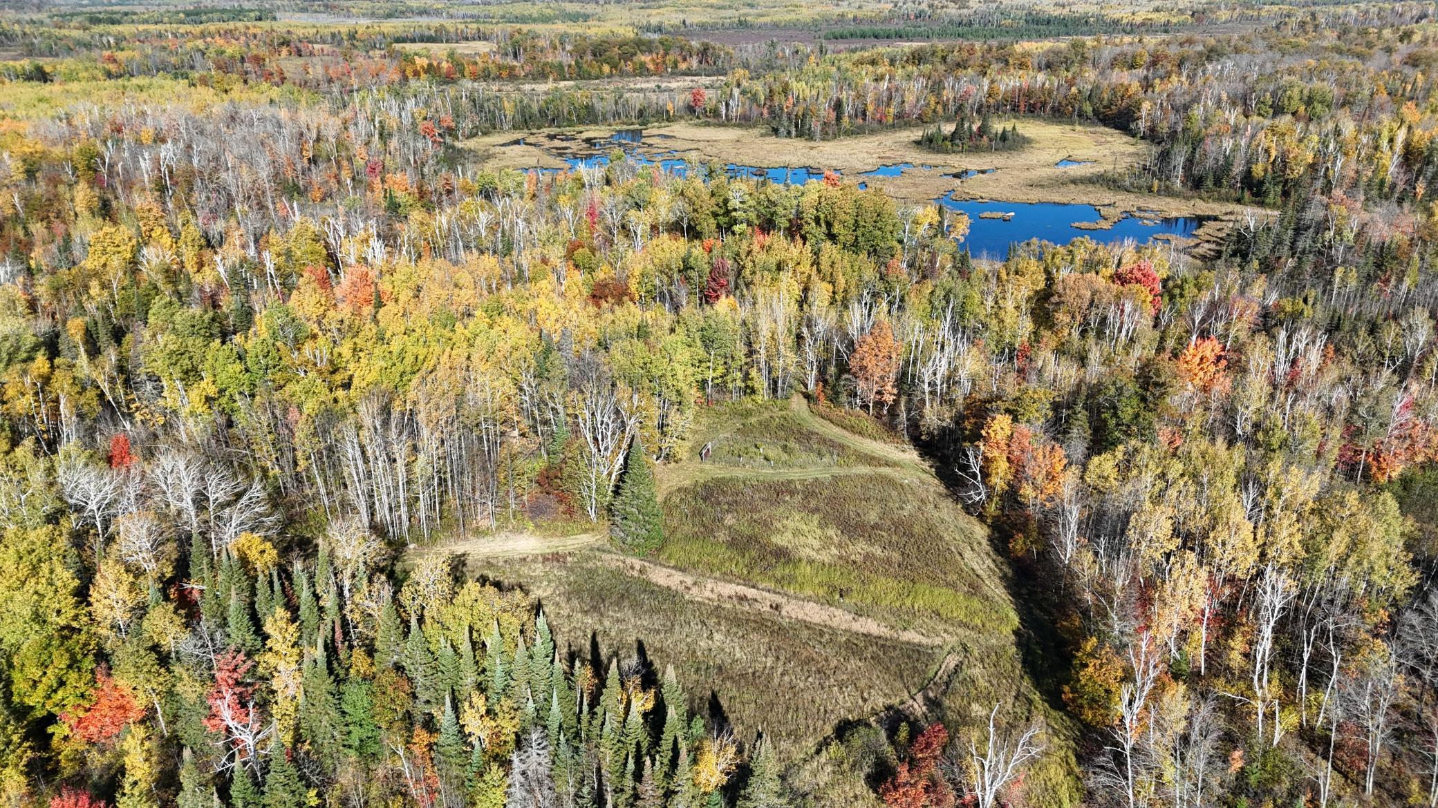 DJI_20261006103455_0252_D.JPG