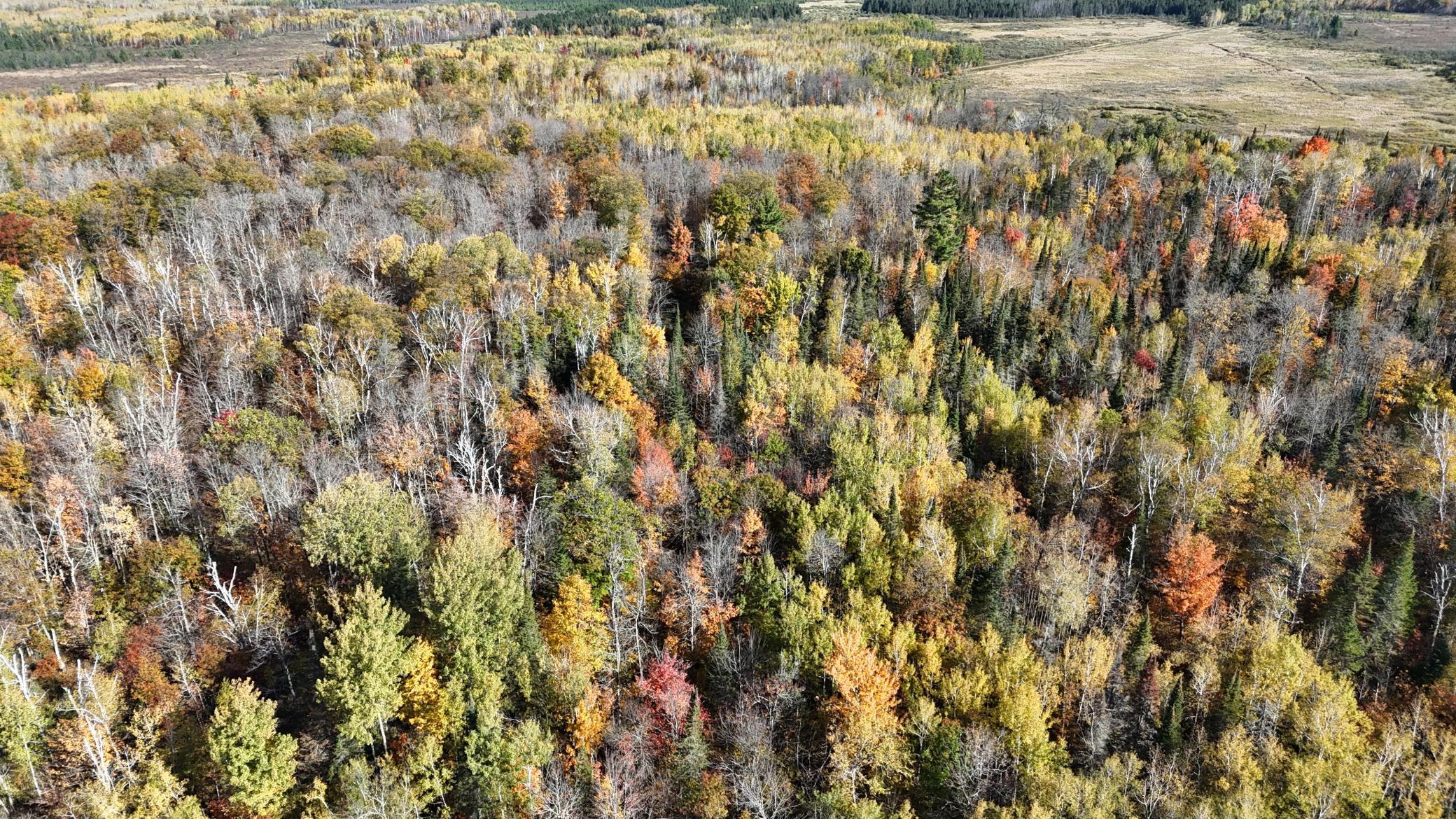 DJI_20261006104005_0260_D.JPG