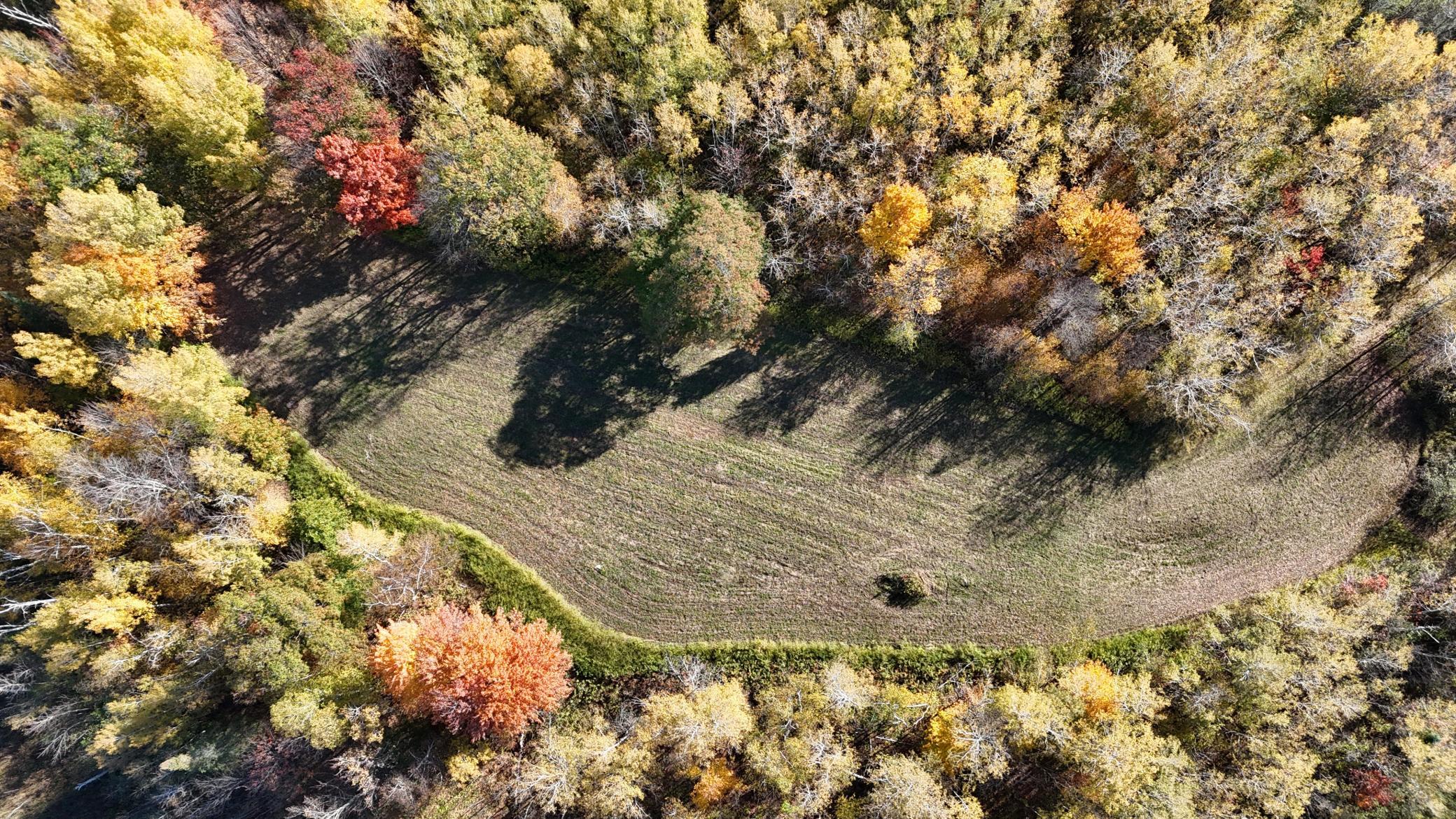 DJI_20261006103543_0255_D.JPG
