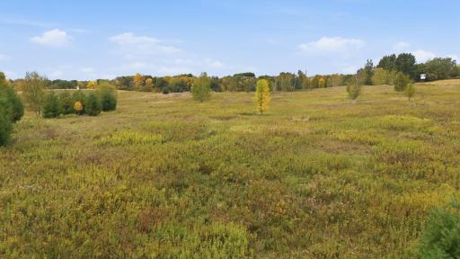 TBD 281st Avenue, Grey Eagle, MN 56336