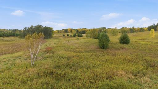 TBD 281st Avenue, Grey Eagle, MN 56336