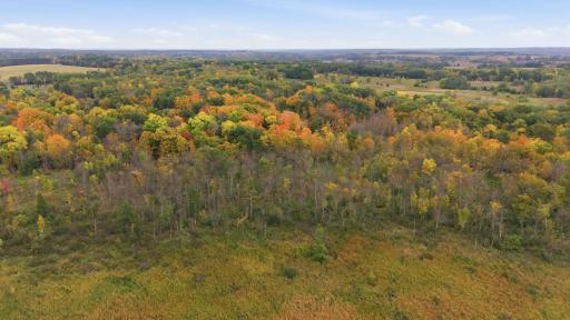 TBD 281st Avenue, Grey Eagle, MN 56336