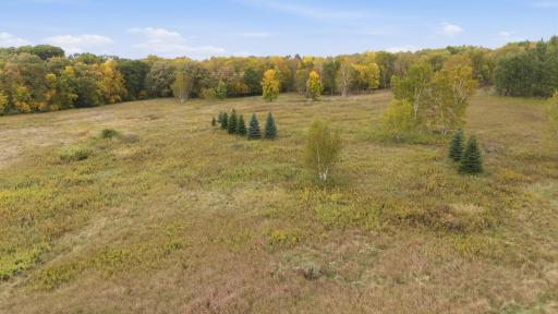 TBD 281st Avenue, Grey Eagle, MN 56336
