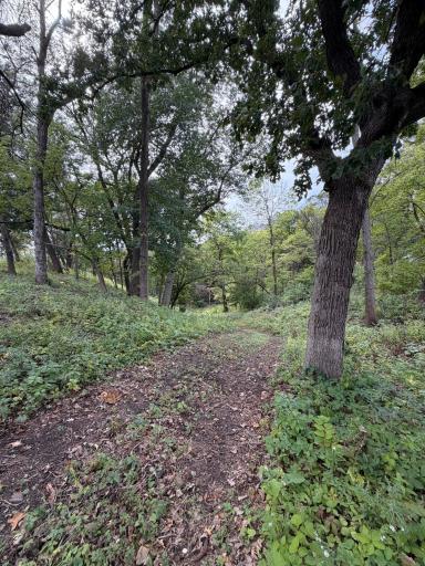 9913 2nd Avenue S, Bloomington, MN 55420