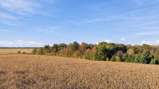 TBD Cty Rd Y, Baldwin, WI 54002