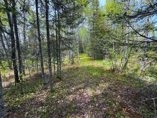 72XX E Central Lakes Road Lot G, Eveleth, MN 55734