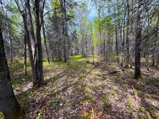 72XX E Central Lakes Road Lot G, Eveleth, MN 55734