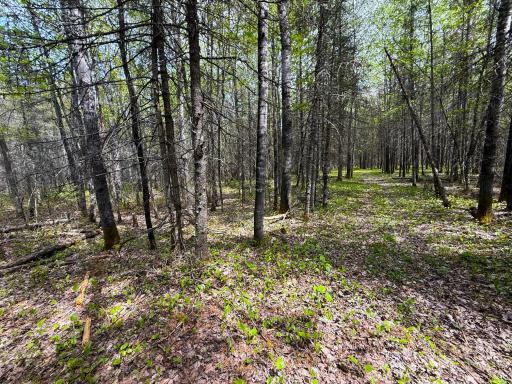 72XX E Central Lakes Road Lot G, Eveleth, MN 55734