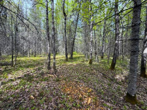 72XX E Central Lakes Road Lot G, Eveleth, MN 55734