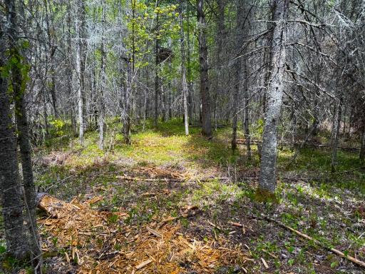 72XX E Central Lakes Road Lot G, Eveleth, MN 55734
