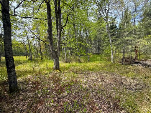 72XX E Central Lakes Road Lot G, Eveleth, MN 55734