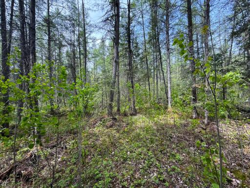 72XX E Central Lakes Road Lot G, Eveleth, MN 55734